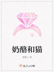 奶酪和猫 奶酪和猫