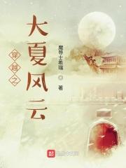 穿越之大夏风云 穿越之大夏风云