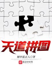 天道拼图 天道拼图