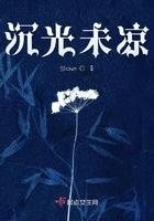 沉光未凉 沉光未凉
