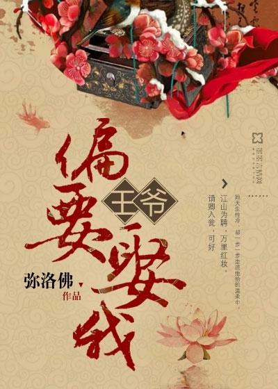 王爷偏要娶我 王爷偏要娶我