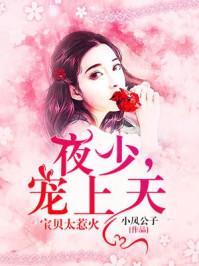 宝贝太惹火:夜少,宠上天 宝贝太惹火:夜少,宠上天