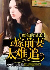 魔鬼的温柔,二嫁前妻太难追 魔鬼的温柔,二嫁前妻太难追