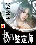 极品鉴定师 极品鉴定师