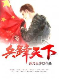 兵锋天下 兵锋天下