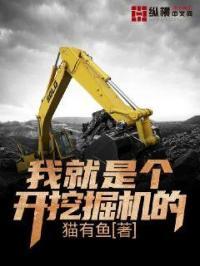 我就是个开挖掘机的 我就是个开挖掘机的