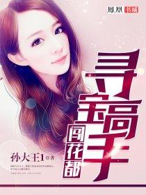 寻宝高手闯花都 寻宝高手闯花都