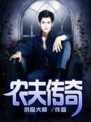 农夫传奇 农夫传奇