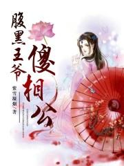 腹黑王爷傻相公 腹黑王爷傻相公