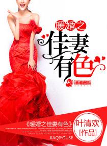 暖婚之佳妻有色 暖婚之佳妻有色