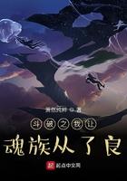 斗破之我让魂族从了良 斗破之我让魂族从了良