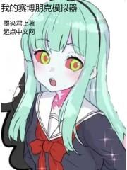 我的赛博朋克模拟器 我的赛博朋克模拟器